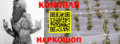 гидропоника Будённовск