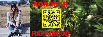гидропоника Будённовск