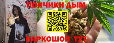 гидропоника Будённовск